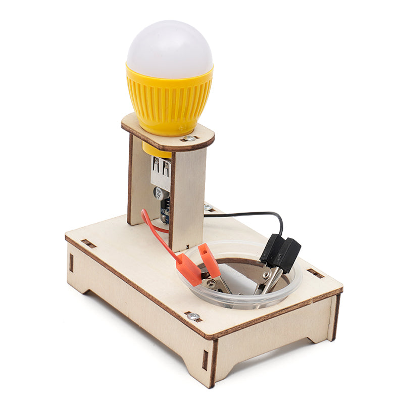 DIY Water Power Generator with Salt STEM Kits Technologia Science Experimental Tool Learning Educational Wooden Puzzle Games